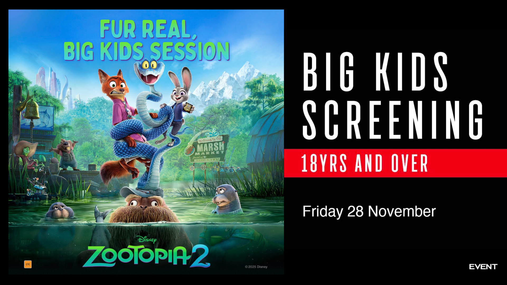 CT EDM BANNER DIMENSION_2