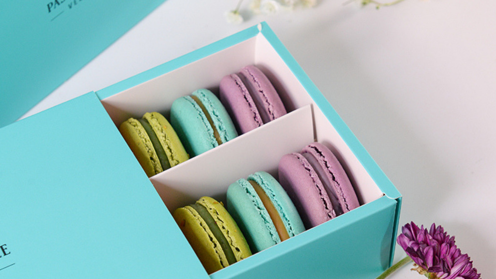 Hero Image (1)_9f3303b4_0aba_4f2f_81b5_ae84d97f30fc.png